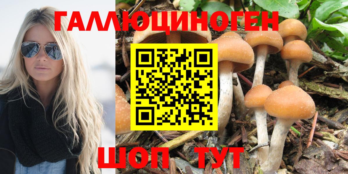 Псилоцибиновые грибы MAGIC MUSHROOMS Орск