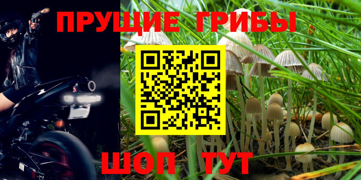 Псилоцибиновые грибы мицелий  Вход с VPN  Псилоцибиновые грибы MAGIC MUSHROOMS  Орск 